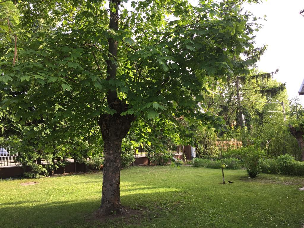 Pálma Apartmanház Siófok Esterno foto