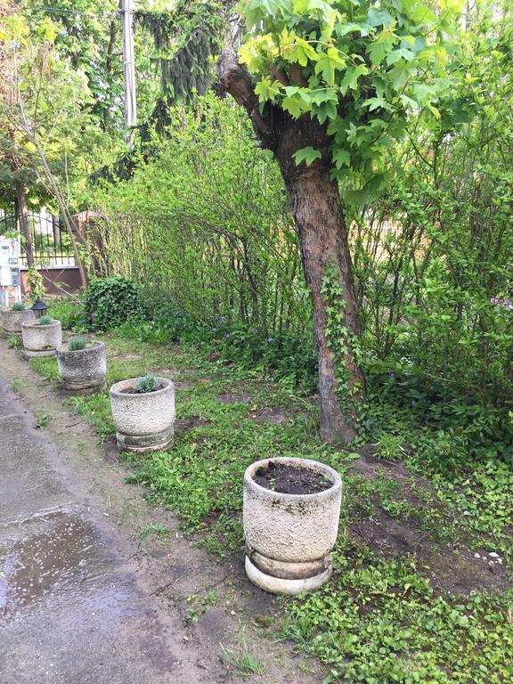 Pálma Apartmanház Siófok Esterno foto